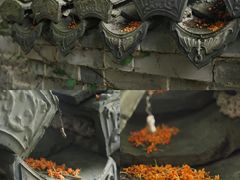 -宁波市保国寺古建筑博物馆