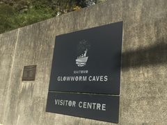 -怀托摩萤火虫洞