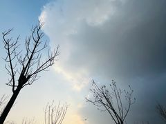 -天津东丽湖风景区