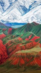 -凤绫儿亲子儿童摄影馆(上海店)