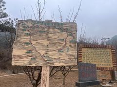 -金龙寺国家森林公园