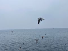 -大连海昌东方水城