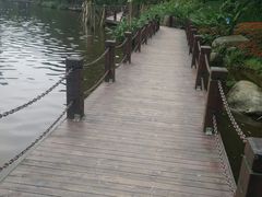 -重庆彩云湖湿地公园