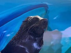 -成都浩海立方海洋公园