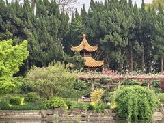 -嘉定紫藤园