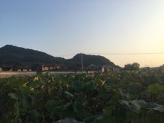 -上甘棠村
