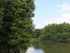-梁鸿国家湿地公园