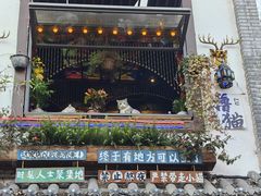-磁器口古镇