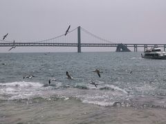 -星海广场