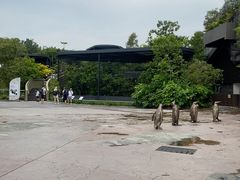 -新加坡飞禽公园