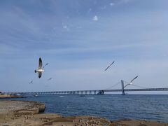 -星海广场