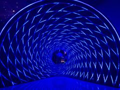 -夏黑子坛子鱼(总店)