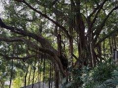 -乌山风景区