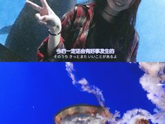 -泉城欧乐堡海洋极地世界
