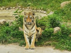 -西安秦岭野生动物园