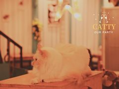 -猫小院猫主题咖啡厅(北锣店)