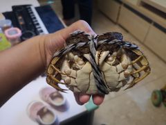 -乡乐园蟹庄·阳澄湖农家乐