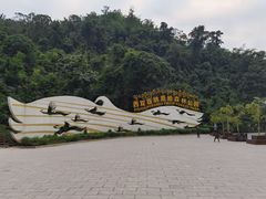 -西双版纳原始森林公园