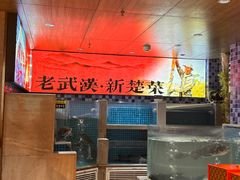 -俏立方·15年新楚菜