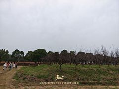 -梁子湖东篱老屋生态庄园