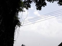 android_upload_pic-海鸥岛