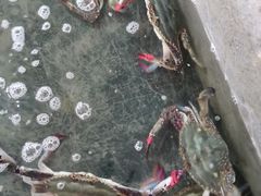 -阔澜蒸汽海鲜自助