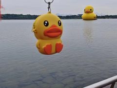 -深圳人才公园