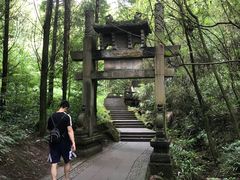 -凤栖山
