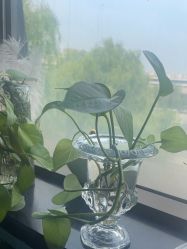 -斐尔国际皮肤管理中心