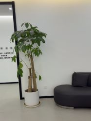 -医方嘉明医疗美容
