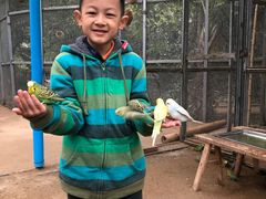 -呀路古热带植物园