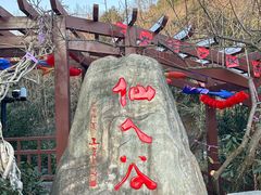 -杭州半山国家森林公园