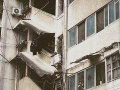 -桂林市花鸟市场