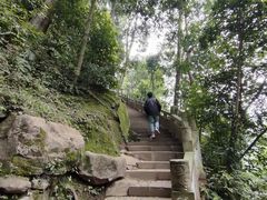 -凤栖山