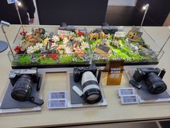 -Sony Store 索尼(上海淮海中路店)