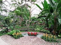 室内环境-北京植物园-展览温室