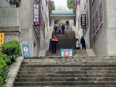 -武汉大学-樱园