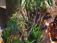 -观宴·品质赣菜(高新大道店)