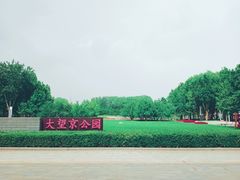 -大望京公园