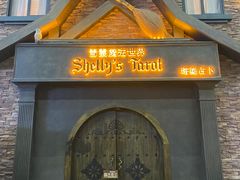 -雪灵魔法世界SHELLY’S TAROT(大良桂畔里店)