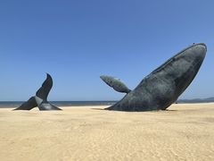 -烟台金沙滩海滨公园
