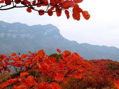 -云丘山景区