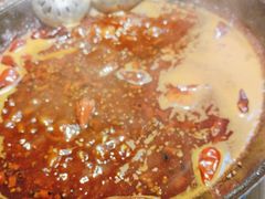 -阳阳老火锅(小南门店)