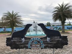 -尼莫海豚馆