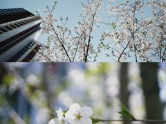 -中興路一號Oriental One