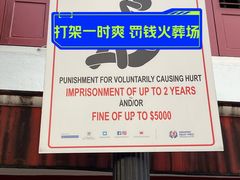 -圣淘沙天际线斜坡滑车