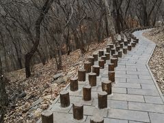 -皇藏峪国家森林公园
