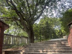 -草庵摩尼教遗址公园