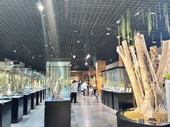 -香市公园-中国沉香文化博物馆