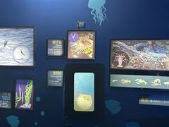 -海合安青岛极地海洋公园